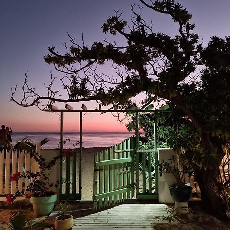 Philoxenia, Maison Et Table D'Hotes La Saline Le Bains Dış mekan fotoğraf